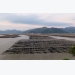 Damning water pollution report hurts aquaculture prospects in China