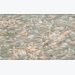 4-mo-hinh-nuoi-ca-sach-giup-nong-dan-doi-doi