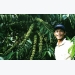 Vietnam vows to reorganize coffee production