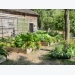 10 Smart Ways to Garden on a Budget