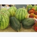 Vietnam, China businesses partner in watermelon consumption