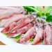 Export of squid, octopus to Russia increase dramatically