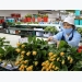 Đà Lạt flower growers need help: experts
