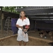 Người đầu tiên nuôi gà Đông Tảo ở Bình Phước, thu nửa tỷ đồng/năm