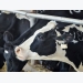 Estimating exposure to mycotoxins in dairy cattle