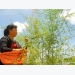 dien-dien-mua-nghich-thu-khoang-450-000-dong-ngay