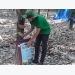 Lân nung chảy Ninh Bình, NPK Ninh Bình tăng chất lượng mủ cao su
