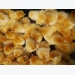 Highly digestible prestarters for antibiotic-free broilers