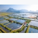 Bến Tre eyes sustainable aquaculture
