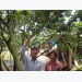 North Tan Uyen’s collective economy unceasingly improves to rise up