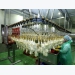 Poultry sector works hard to meet rising demand