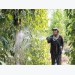 Prices of staple farm produce drop sharply in Q1