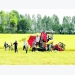 Rice exports to flourish