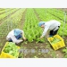 International co-operation drives agriculture development
