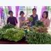 Ethnic women find success growing organic vegetables