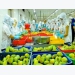 Fruit and vegetable exports decline during first quarter