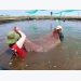 Kiên Giang district expands two-stage industrial shrimp farming
