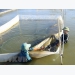Projects to revive fishery resources in central provinces launched