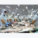 Vietnam sees bigger opportunities for catfish export to China