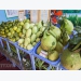 Tien Giang enjoys rising fruit exports