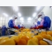 Việt Nam calls for investment in fruit and vegetable processing