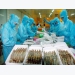 dich-covid-19-tao-ra-xu-huong-moi-doi-voi-chuoi-cung-ung-thuy-san-viet-nam