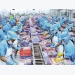 Exports of frozen goods are leading