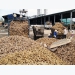 Cassava exports enjoy surge in Q1