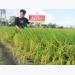 lua-lai-ly2099-tao-an-tuong-manh-vu-dong-xuan