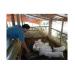 hoi-nd-huyen-tien-phuoc-quang-nam-sat-canh-cung-nong-dan