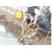 tong-ket-mo-hinh-nuoi-ca-chem-trong-ao-bang-thuc-an-cong-nghiep