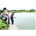 nuoi-ca-ro-phi-trong-moi-truong-nuoc-lo