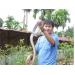 nuoi-ran-lai-tren-100-trieu-dong-thang