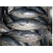 Giá Cá Ngừ Vằn Tăng 250 USD/tấn