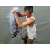 Trường đại học Nông Lâm Huế nghiên cứu thành công sinh sản nhân tạo cá dìa
