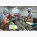 Australia lifts ban on VN uncooked shrimp