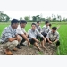 1325-ky-su-xuong-dong-cung-nong-dan-trong-lua-sach