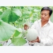 Banks’ registered loan for hi-tech agriculture reaches $5.29 billion