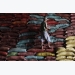 Vietnam's May coffee exports extend downtrend to finish at 6-month low