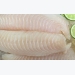 Vietnam expecting explosive growth of its tilapia sector