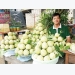 Custard apples get their own festival