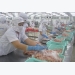 Tra fish firms form fund to cope with PR crisis