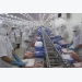 FDA asked to continue tra fish inspections