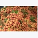 China buys over 9,500 tons of lychees