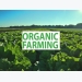 Organic Agriculture and Its Importance
