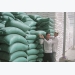 Vietnam rice export back on track