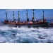 Sản lượng cá ngừ toàn cầu thay đổi do trái đất nóng lên