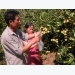 tieu-thu-vai-thieu-da-ket-noi-cung-cau-suon-se