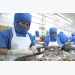 Seafood imports put at US$508 million in Jan-May