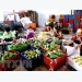 Vietnam’s fruit, vegetables export sees impressive growth